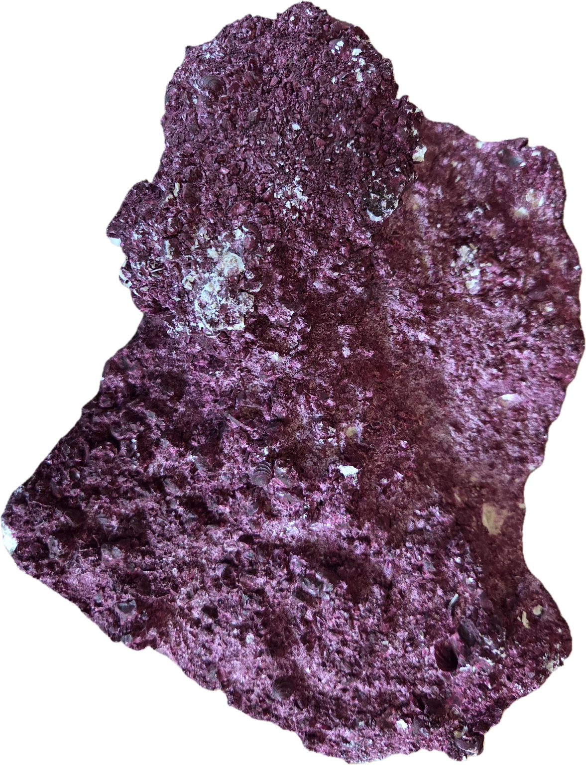 WYSIWYG Rock #1
