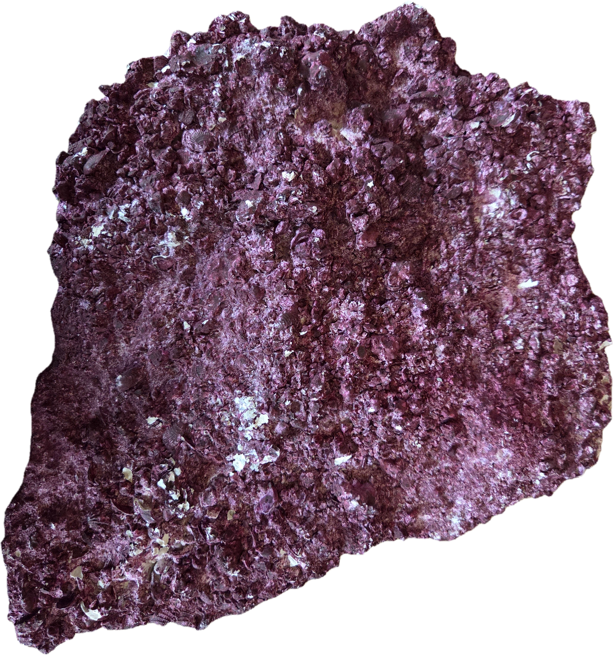 WYSIWYG Rock #2
