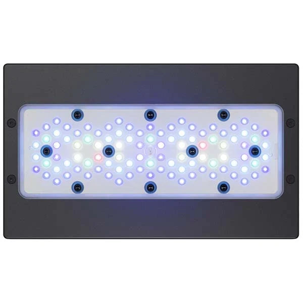Radion XR30 G5 Blue - USED