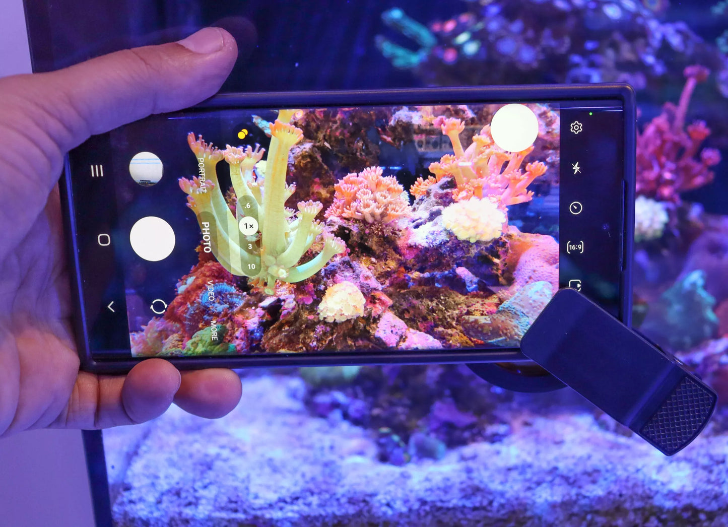 Reef Casa - Orange Camera Lens For Aquarium Photography