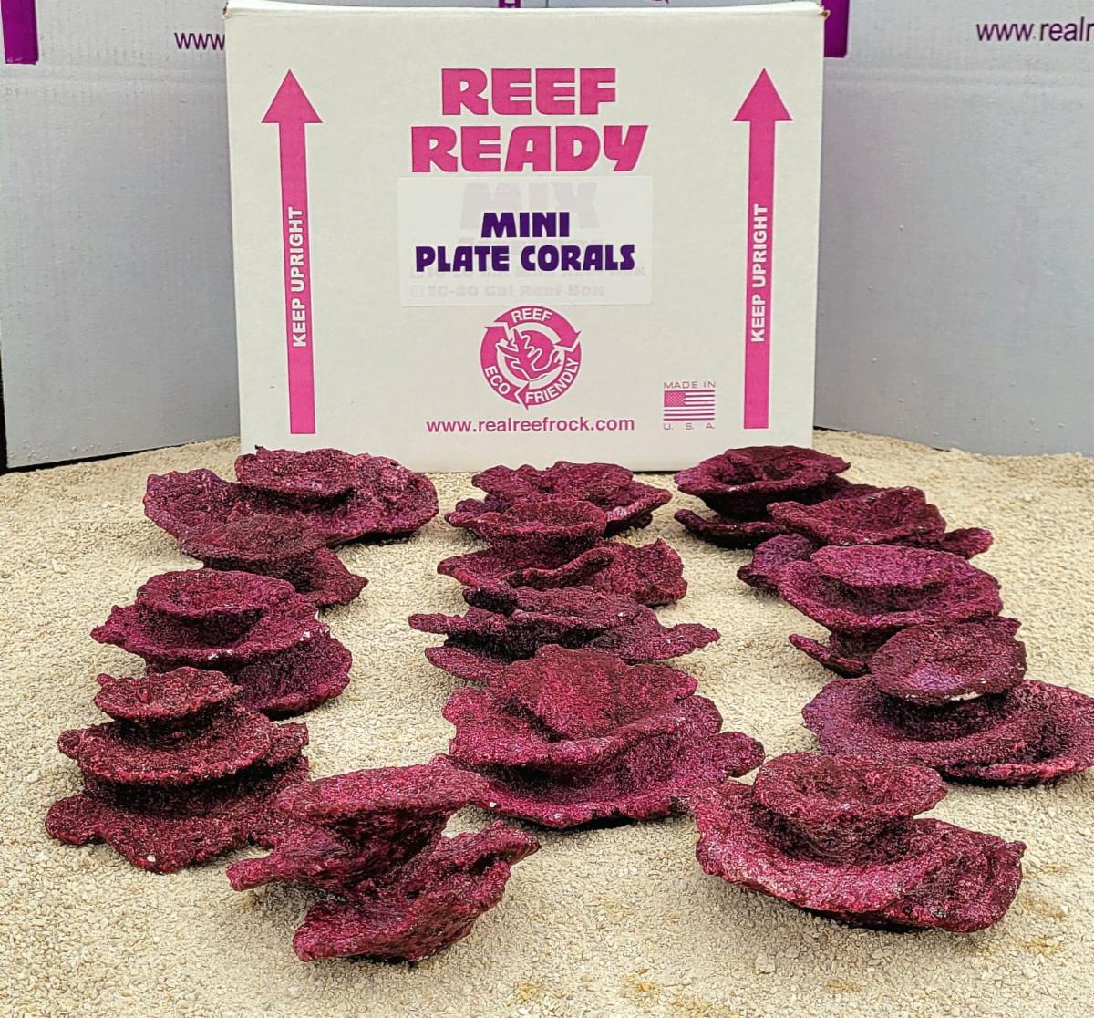 Real Reef Mini Plate Corals (10 PCS per box)