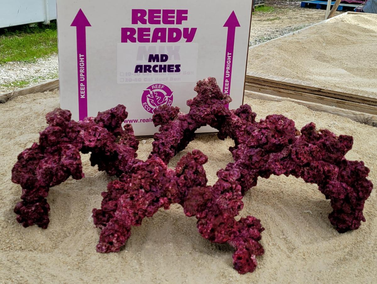 Real Reef Arches