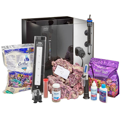 Clownfish and Anemone Aquarium Kit