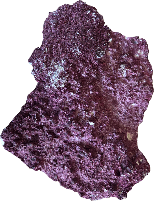 WYSIWYG Rock #1