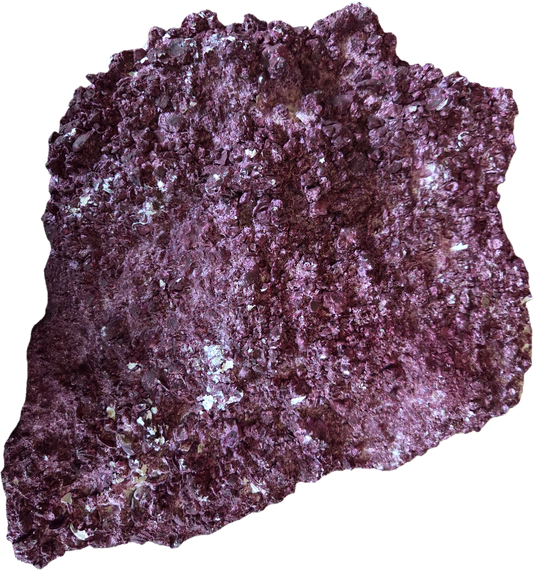 WYSIWYG Rock #2