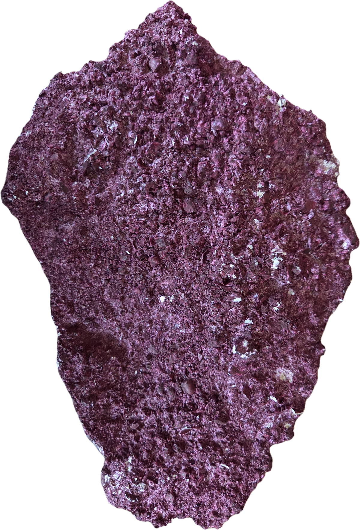 WYSIWYG Rock #4