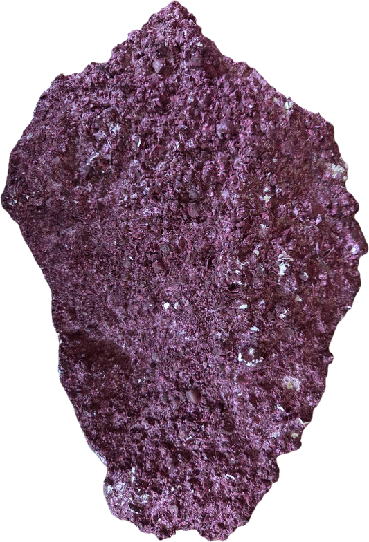 WYSIWYG Rock #4