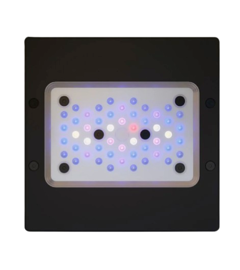 Radion XR15 G6 Blue (XR15G6BLUE-US)