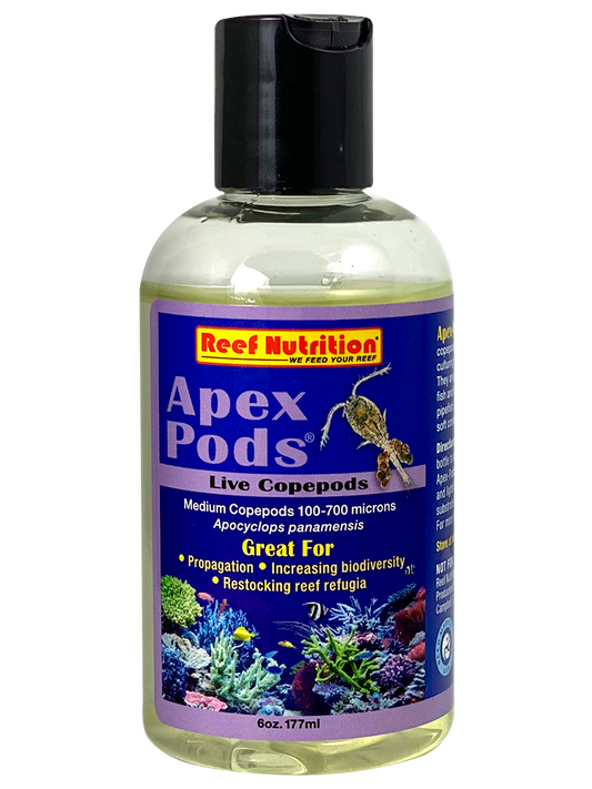 Apex-Pods 6oz