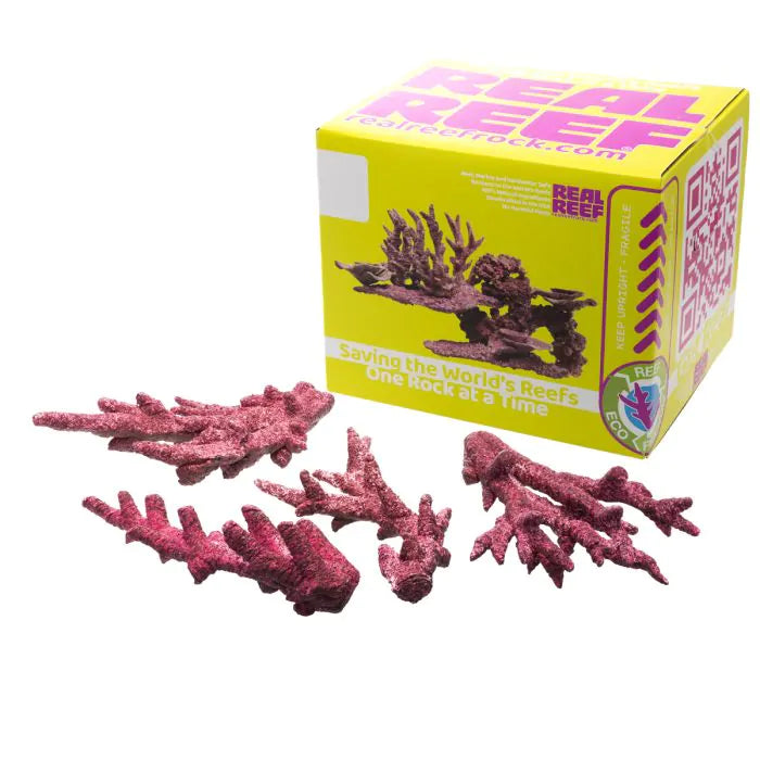 Real Reef Mini Branch Box (10 PCS)