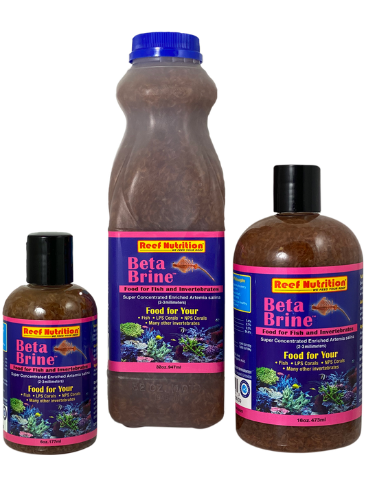 Beta-Brine 6 oz