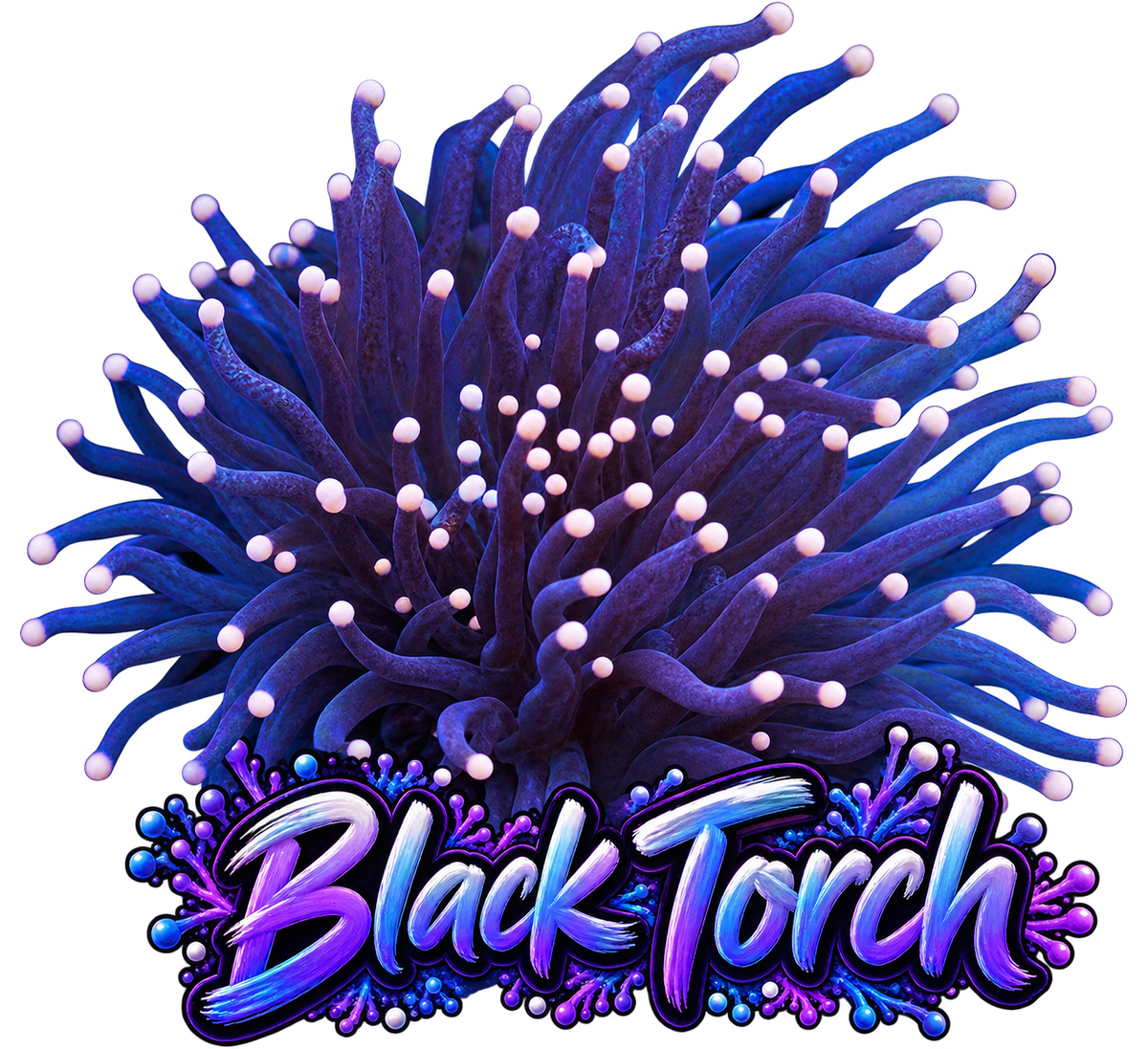 Black with Orange Tip Torch