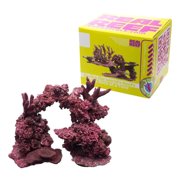 Real Reef Arches