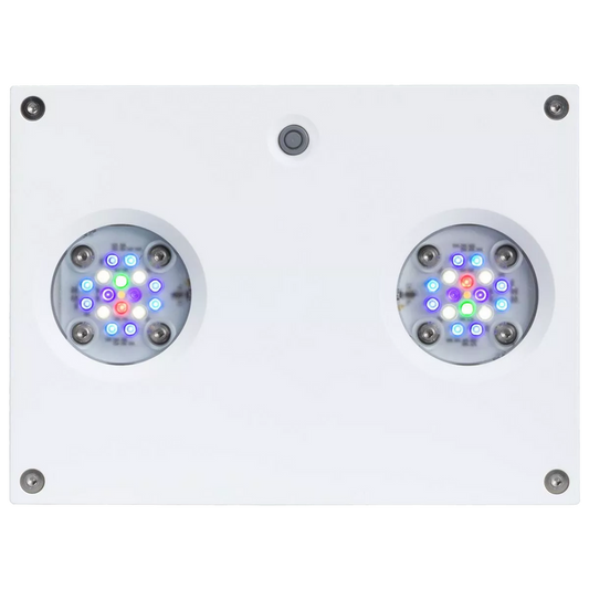 Ai Hydra 32 HD LED Reef Light - White