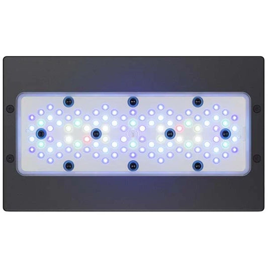 Radion XR30 G5 Blue - USED