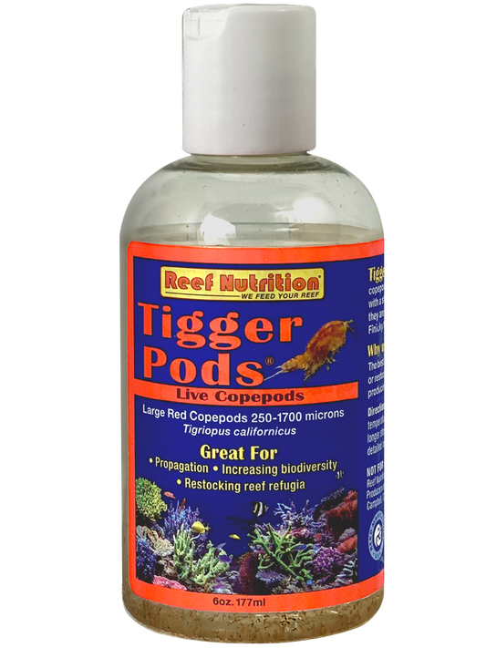 Tigger-Pods 6oz